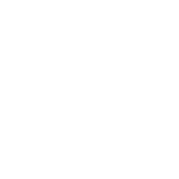 phone-white